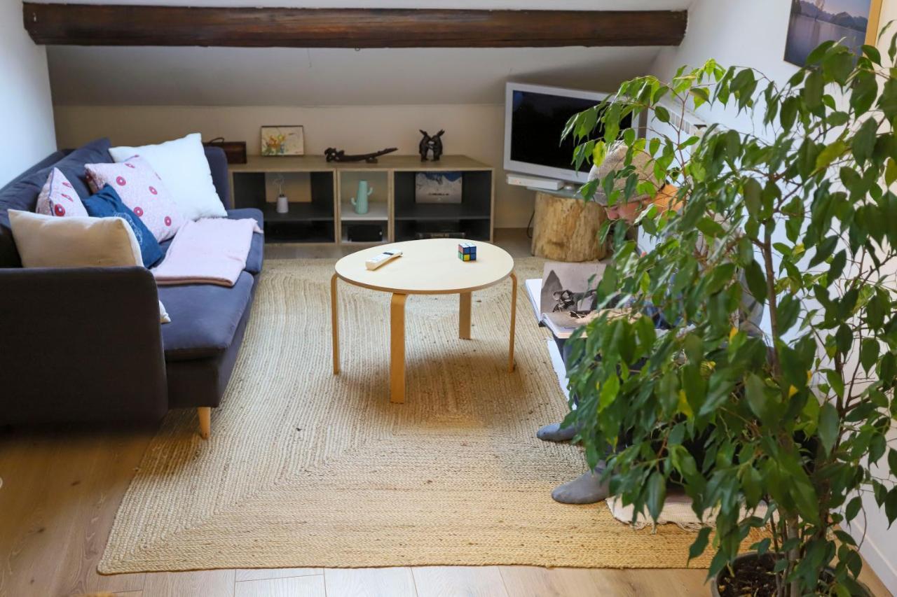 Petit-Coeur Charmant En Centre Ville Apartment Annecy Exterior photo