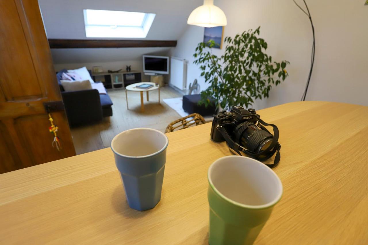 Petit-Coeur Charmant En Centre Ville Apartment Annecy Exterior photo